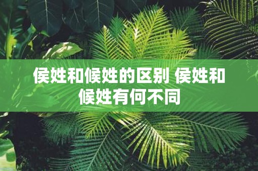 侯姓和候姓的区别 侯姓和候姓有何不同