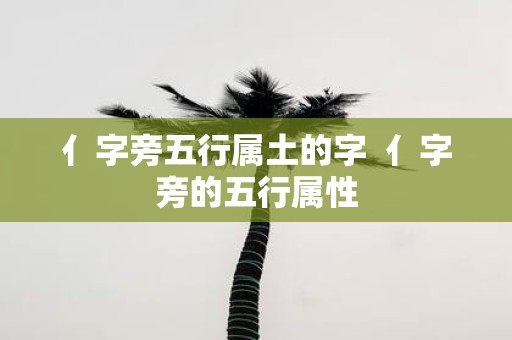 亻字旁五行属土的字 亻字旁的五行属性