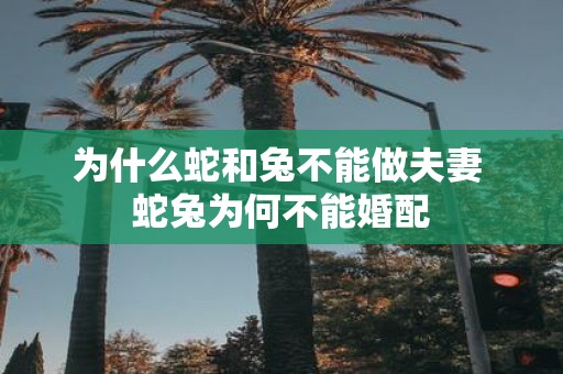 为什么蛇和兔不能做夫妻 蛇兔为何不能婚配