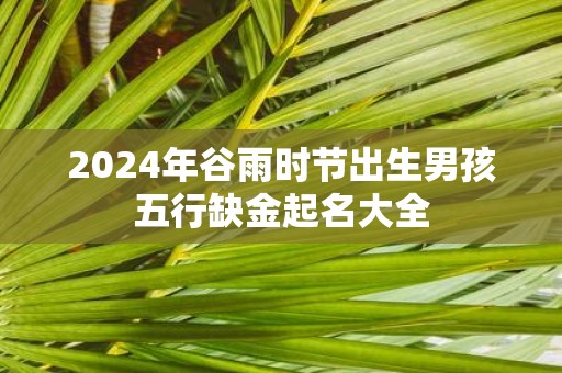 2025年谷雨时节出生男孩五行缺金起名大全