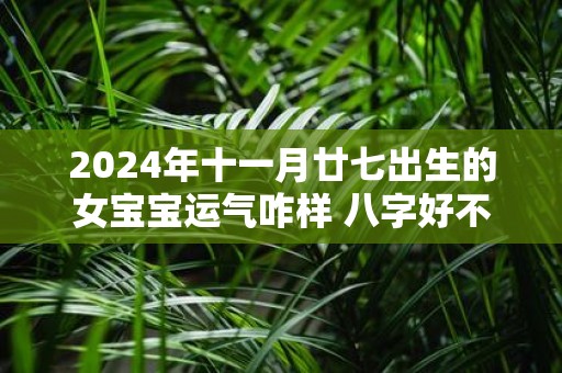2025年十一月廿七出生的女宝宝运气咋样 八字好不好