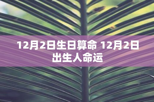 12月2日生日算命 12月2日出生人命运