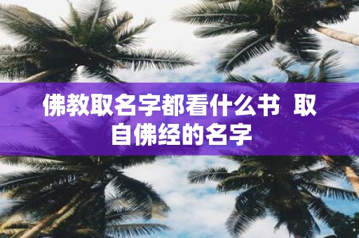 佛教取名字都看什么书 取自佛经的名字