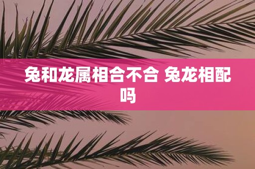 兔和龙属相合不合 兔龙相配吗