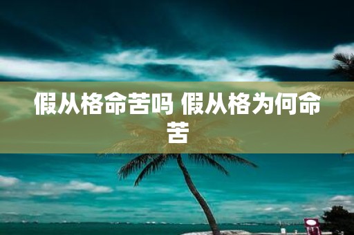 假从格命苦吗 假从格为何命苦