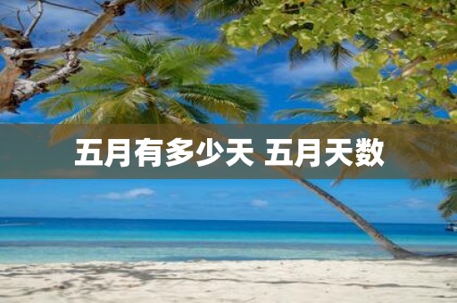 五月有多少天 五月天数