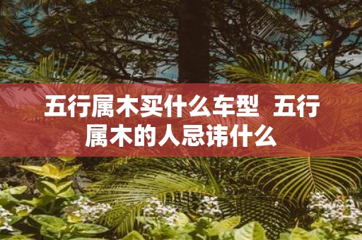 五行属木买什么车型 五行属木的人忌讳什么