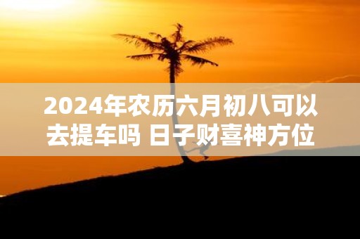 2025年农历六月初八可以去提车吗 日子财喜神方位