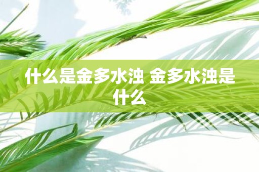 什么是金多水浊 金多水浊是什么