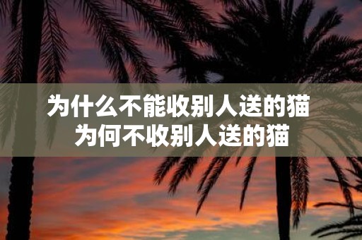 为什么不能收别人送的猫 为何不收别人送的猫