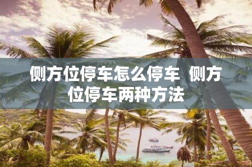侧方位停车怎么停车 侧方位停车两种方法