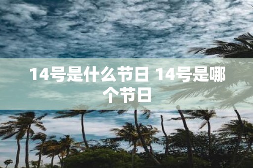 14号是什么节日 14号是哪个节日