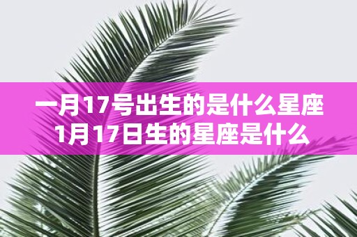一月17号出生的是什么星座 1月17日生的星座是什么