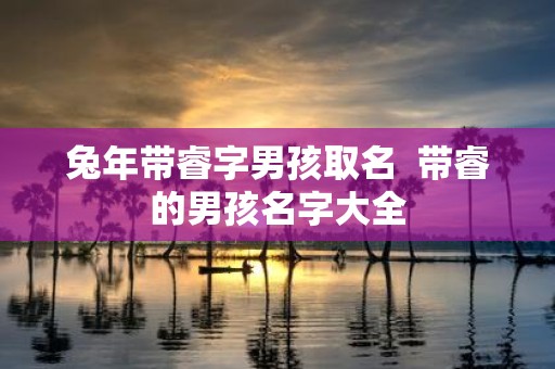 蛇年带睿字男孩取名 带睿的男孩名字大全