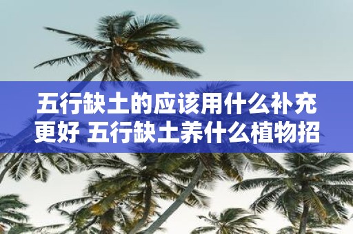 五行缺土的应该用什么补充更好 五行缺土养什么植物招财