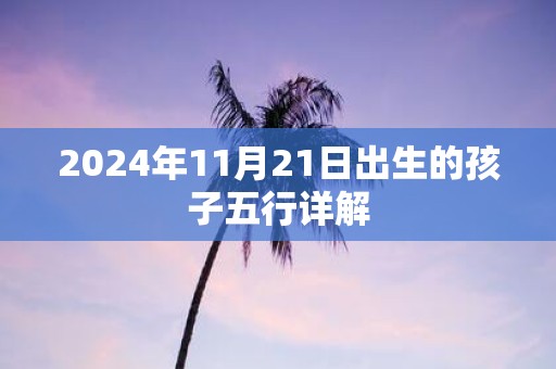 2025年11月21日出生的孩子五行详解
