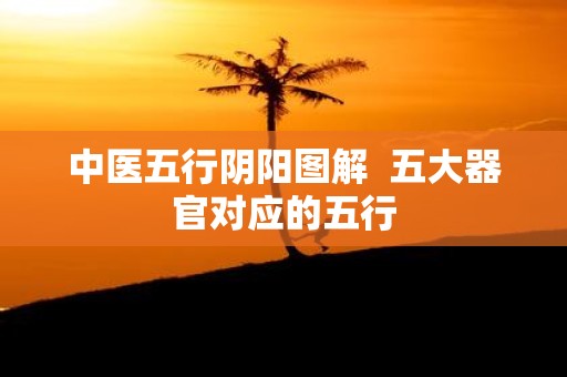 中医五行阴阳图解 五大器官对应的五行