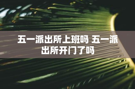 五一派出所上班吗 五一派出所开门了吗