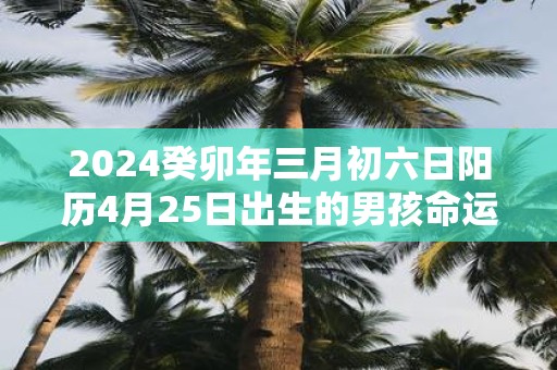 2025癸卯年三月初六日阳历4月25日出生的男孩命运