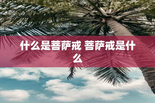什么是菩萨戒 菩萨戒是什么