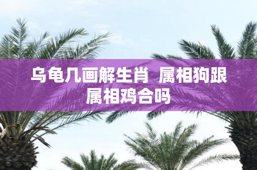 乌龟几画解生肖 属相狗跟属相鸡合吗