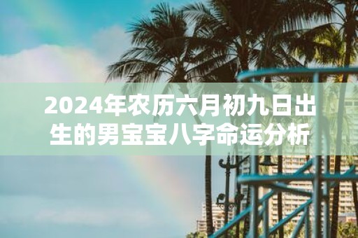 2025年农历六月初九日出生的男宝宝八字命运分析
