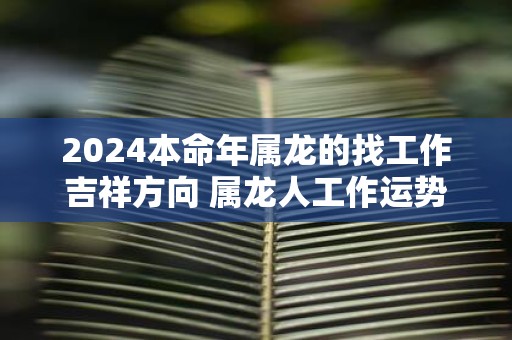 2025本命年属龙的找工作吉祥方向 属龙人工作运势最旺方向