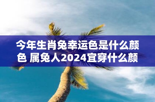 今年生肖兔幸运色是什么颜色 属兔人2025宜穿什么颜色