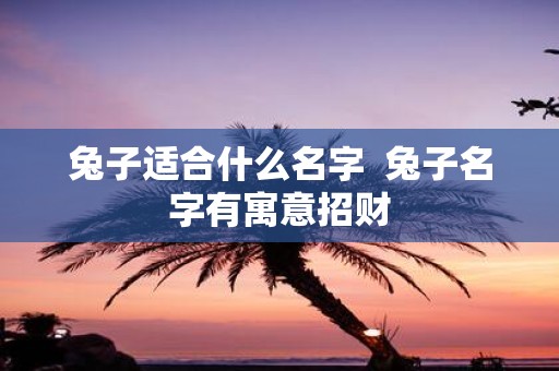 兔子适合什么名字 兔子名字有寓意招财