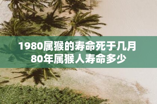1980属猴的寿命死于几月 80年属猴人寿命多少