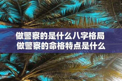 做警察的是什么八字格局 做警察的命格特点是什么