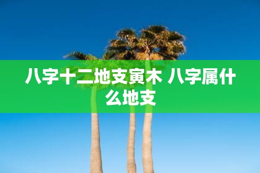 八字十二地支寅木 八字属什么地支
