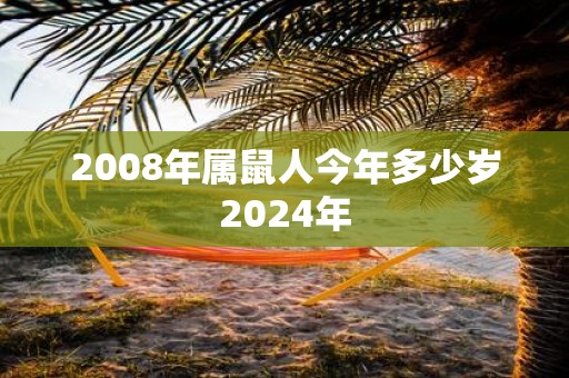 2008年属鼠人今年多少岁2025年