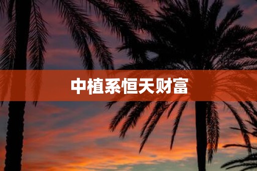 中植系恒天财富