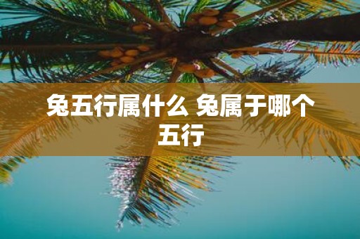 兔五行属什么 兔属于哪个五行