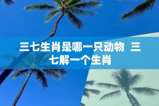 三七生肖是哪一只动物 三七解一个生肖