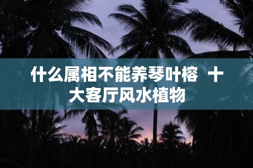 什么属相不能养琴叶榕 十大客厅风水植物