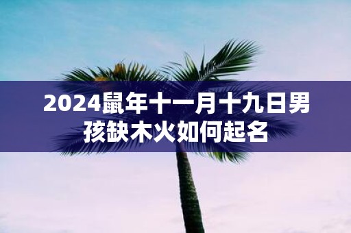 2025鼠年十一月十九日男孩缺木火如何起名