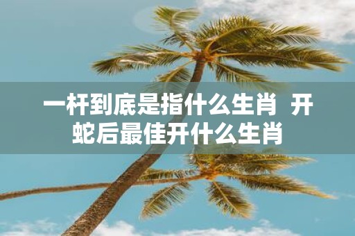 一杆到底是指什么生肖 开蛇后最佳开什么生肖