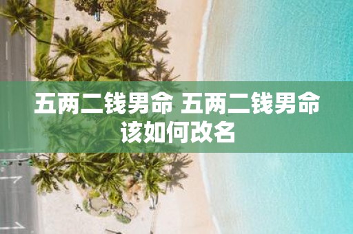 五两二钱男命 五两二钱男命该如何改名