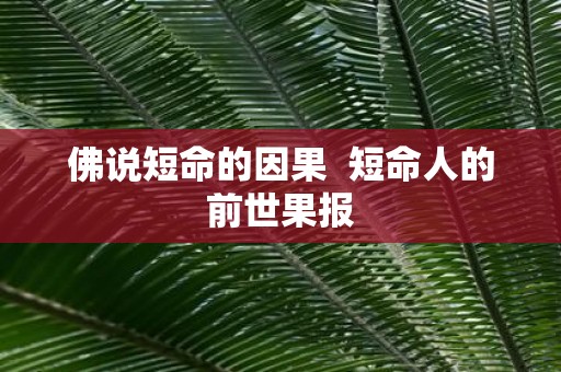 佛说短命的因果 短命人的前世果报