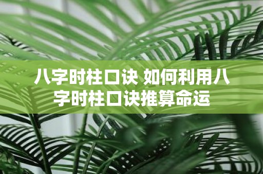 八字时柱口诀 如何利用八字时柱口诀推算命运
