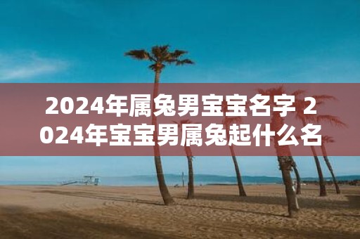 2025年属兔男宝宝名字 2025年宝宝男属兔起什么名字