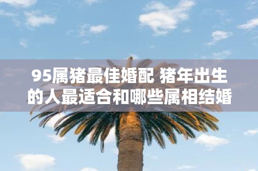 95属猪最佳婚配 猪年出生的人最适合和哪些属相结婚
