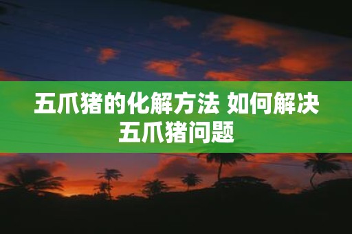 五爪猪的化解方法 如何解决五爪猪问题