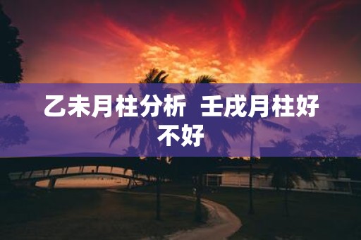 乙未月柱分析 壬戌月柱好不好