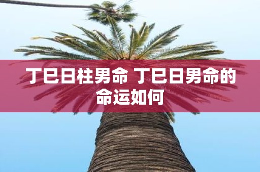 丁巳日柱男命 丁巳日男命的命运如何