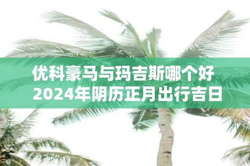 优科豪马与玛吉斯哪个好 2025年阴历正月出行吉日
