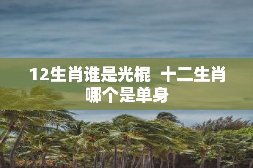12生肖谁是光棍 十二生肖哪个是单身