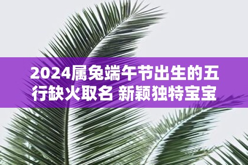 2025属兔端午节出生的五行缺火取名 新颖独特宝宝名字